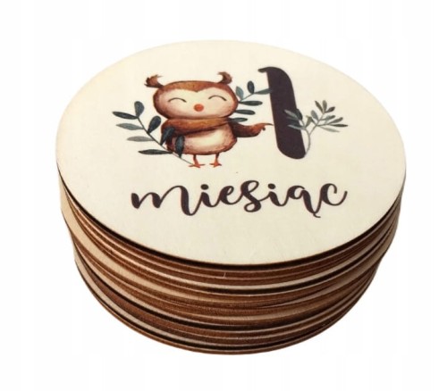 Tabliczki karty do zdjęć drewniane z miesiącami Pierwszy rok życia do sesji na prezent 14 szt