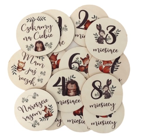 Tabliczki karty do zdjęć drewniane z miesiącami Pierwszy rok życia do sesji na prezent 14 szt