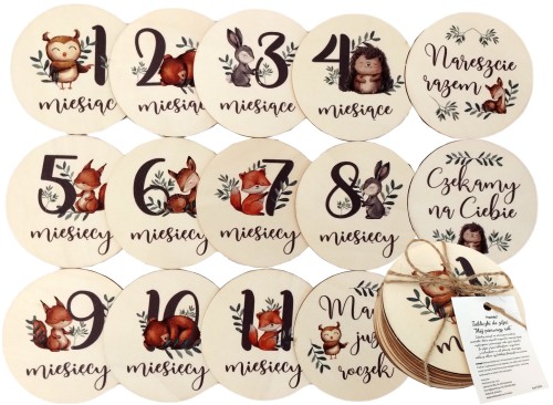 Tabliczki karty do zdjęć drewniane z miesiącami Pierwszy rok życia do sesji na prezent 14 szt