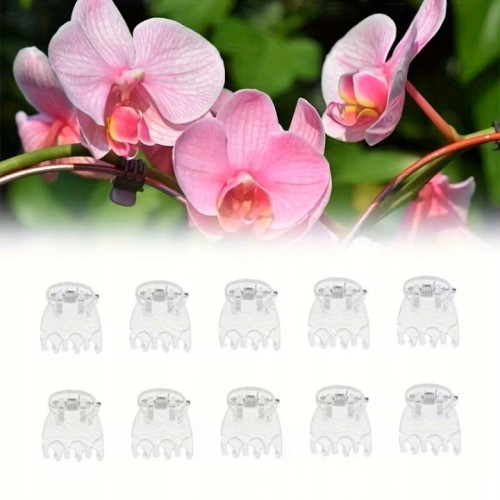 Spinki do Włosów Żabki Przezroczyste 50 szt – Mini Klipsy Fryzjerskie do Stylizacji i Upięć