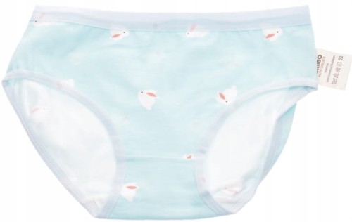 Majtki dla dziewczynki figi bawełna 4 szt.  110 -116