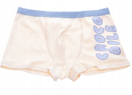 Bokserki chłopięce bielizna dla chłopca majtki zestaw 4 szt. 128-134