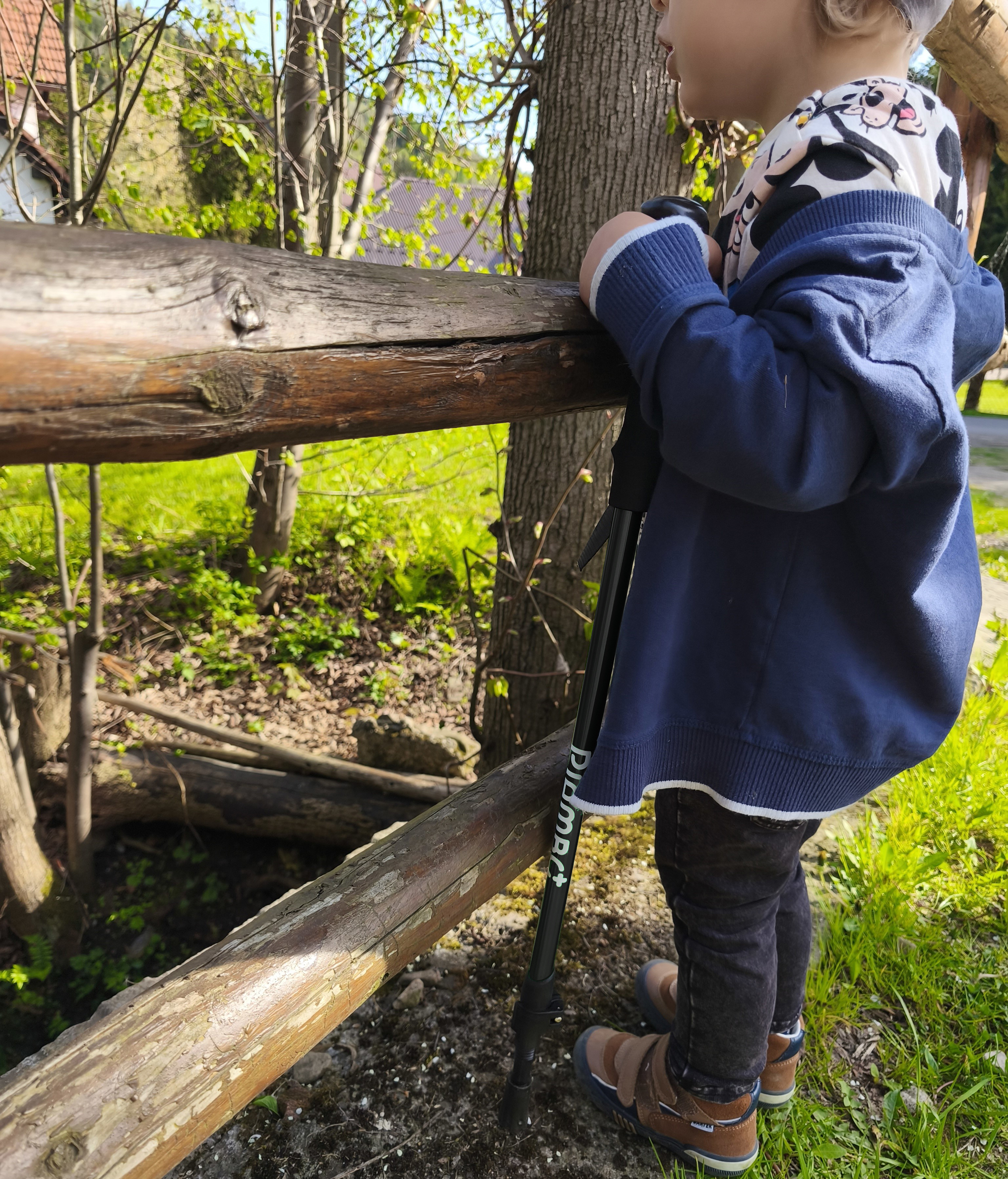 Kijki trekkingowe dla dziecka